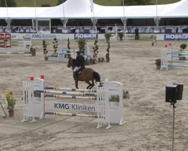 FEI Reitturnier Sommerstorf (GER) 2015
