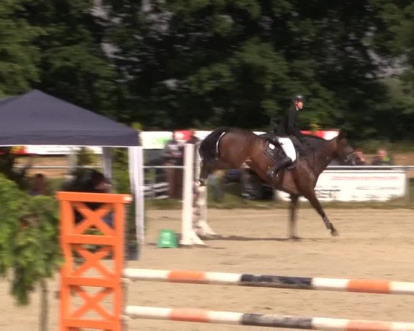 Coesfelder Reitertage 2015