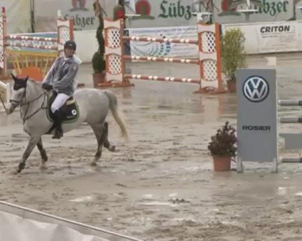 FEI Reitturnier Sommerstorf (GER) 2015