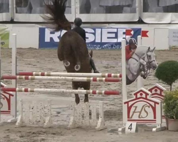 FEI Reitturnier Sommerstorf (GER) 2015