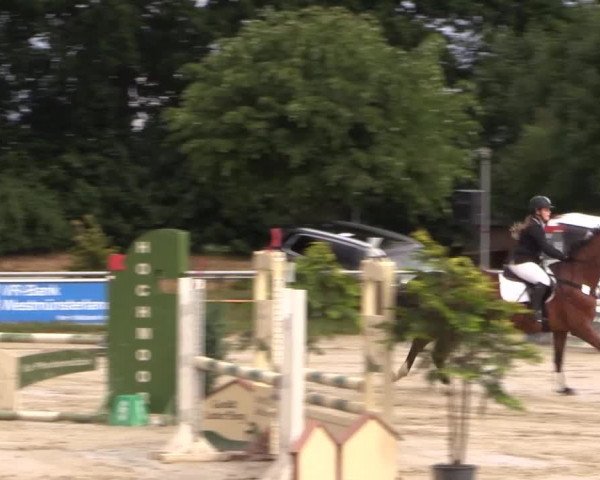 Coesfelder Reitertage 2015