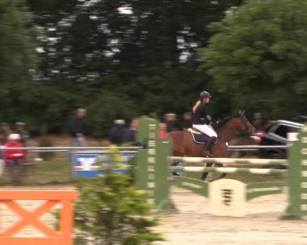 Coesfelder Reitertage 2015