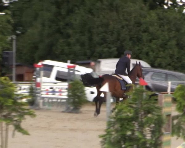 Coesfelder Reitertage 2015