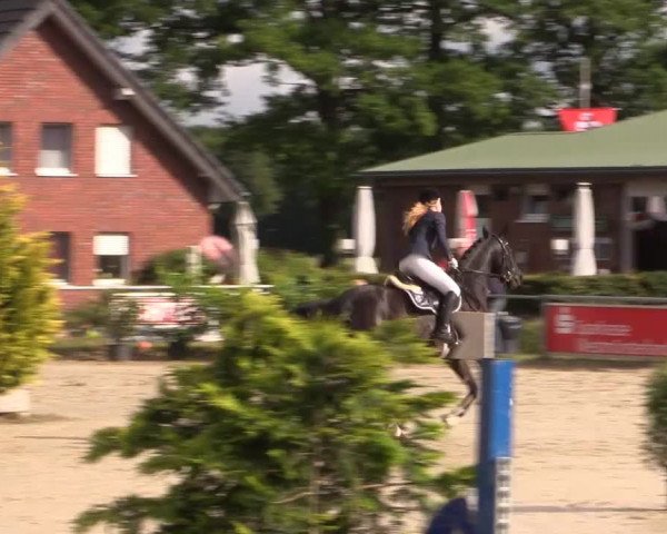 Coesfelder Reitertage 2015