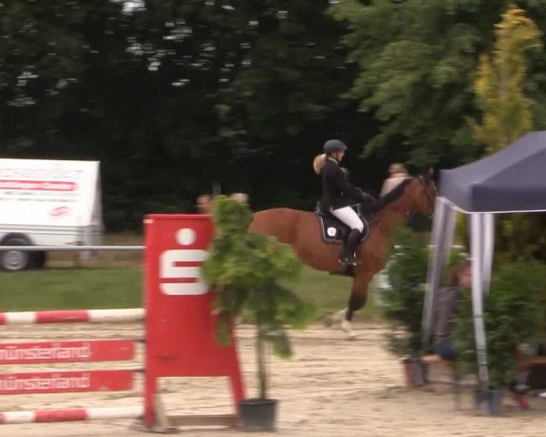 Coesfelder Reitertage 2015