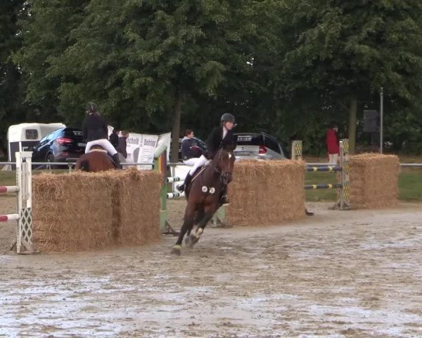 Coesfelder Reitertage 2015