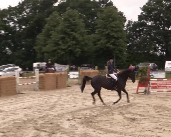 Coesfelder Reitertage 2015