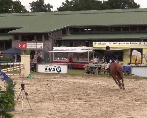 Coesfelder Reitertage 2015