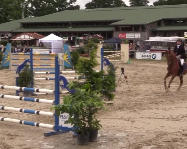 Coesfelder Reitertage 2015
