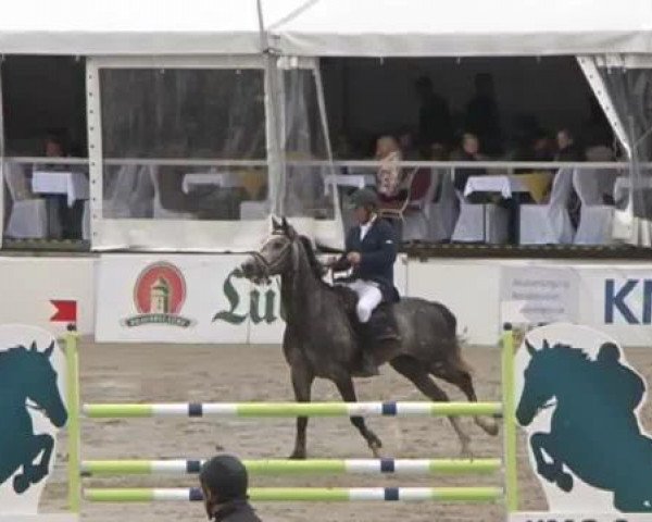 FEI Reitturnier Sommerstorf (GER) 2015