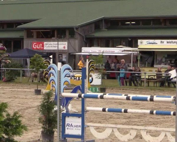 Coesfelder Reitertage 2015
