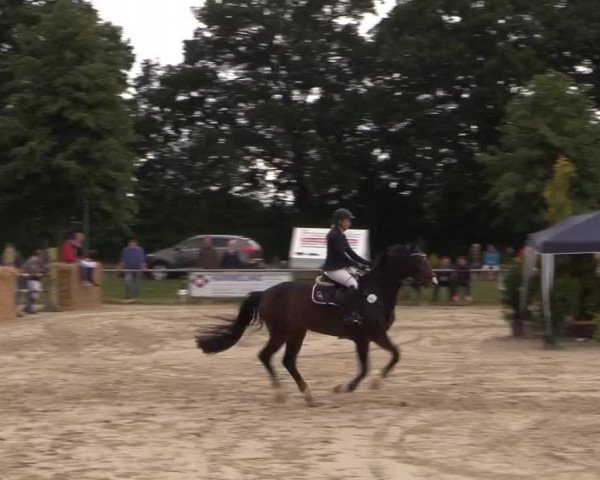 Coesfelder Reitertage 2015