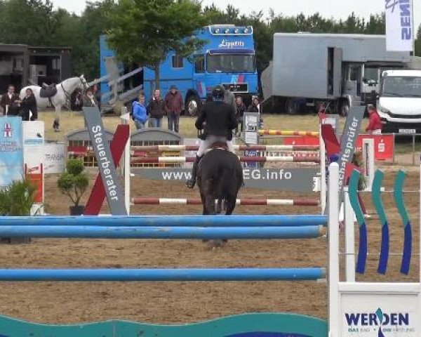 Sommerturnier RFV Heinsberg 2015
