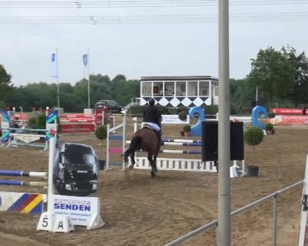 Sommerturnier RFV Heinsberg 2015