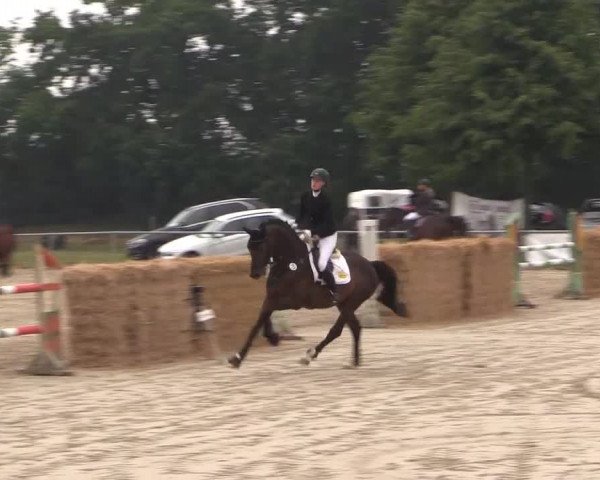 Coesfelder Reitertage 2015