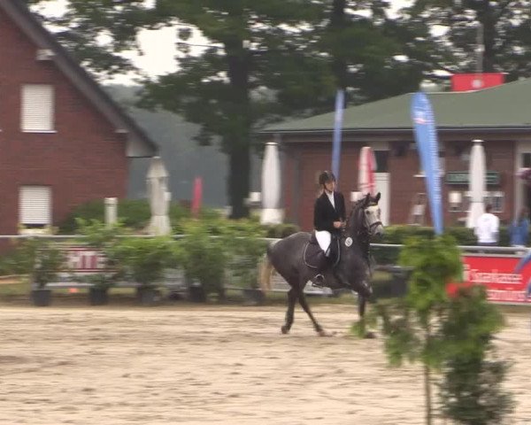 Coesfelder Reitertage 2015