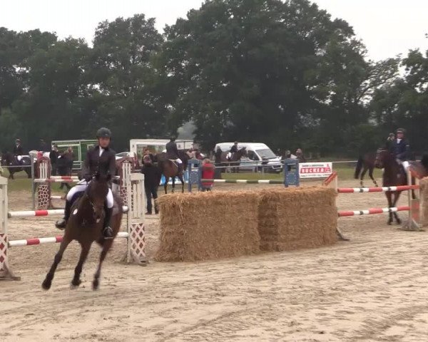 Coesfelder Reitertage 2015