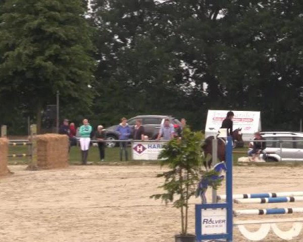 Coesfelder Reitertage 2015