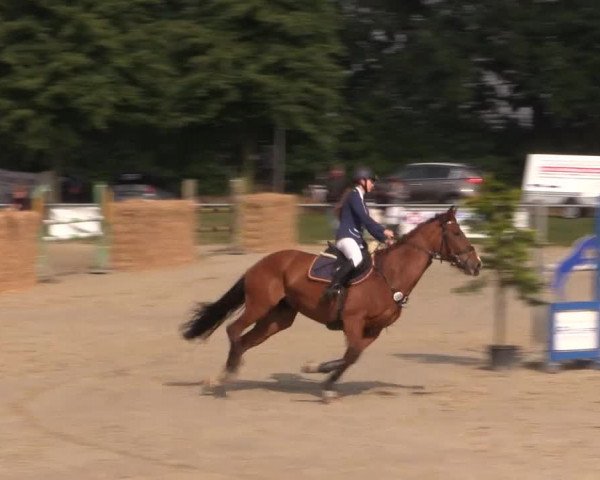 Coesfelder Reitertage 2015