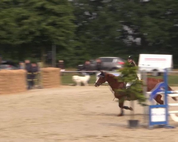 Coesfelder Reitertage 2015