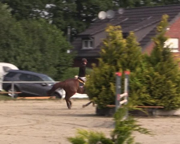 Coesfelder Reitertage 2015