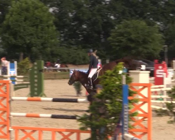 Coesfelder Reitertage 2015