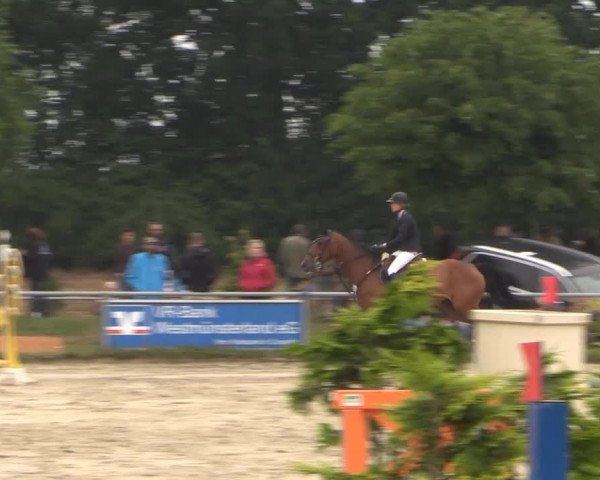 Coesfelder Reitertage 2015