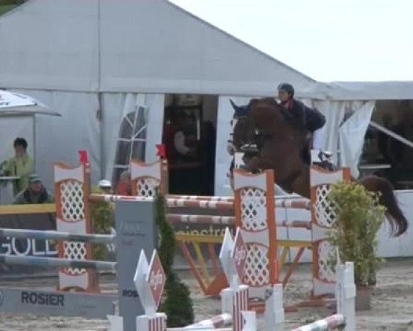 FEI Reitturnier Sommerstorf (GER) 2015