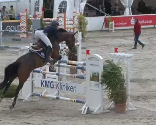 FEI Reitturnier Sommerstorf (GER) 2015