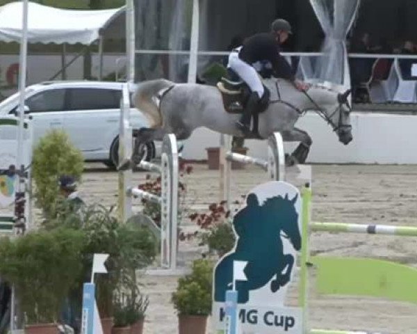 FEI Reitturnier Sommerstorf (GER) 2015