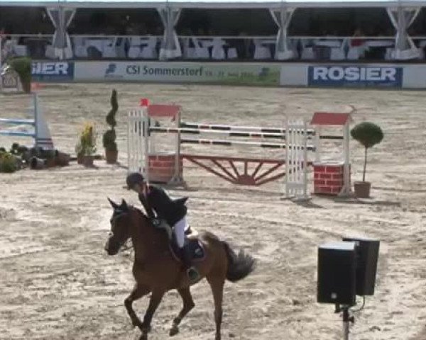 FEI Reitturnier Sommerstorf (GER) 2015