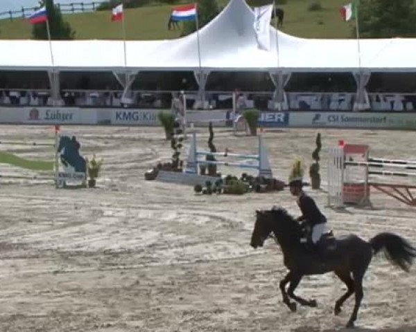 FEI Reitturnier Sommerstorf (GER) 2015