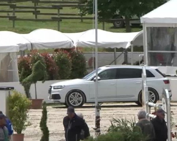 FEI Reitturnier Sommerstorf (GER) 2015