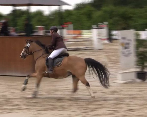 Sommerturnier Fröndenberg 2015