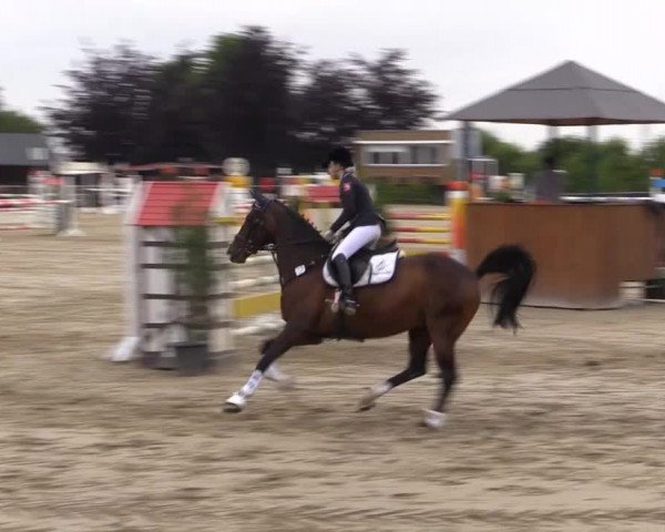 Sommerturnier Fröndenberg 2015