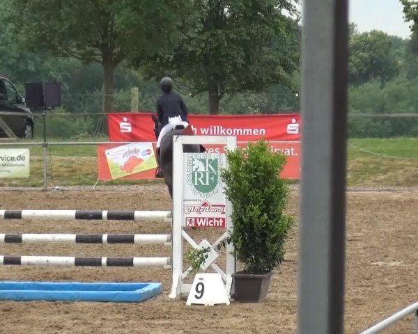 Sommerturnier RFV Heinsberg 2015