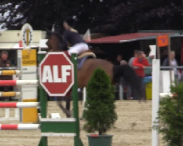 Sommerturnier Fröndenberg 2015