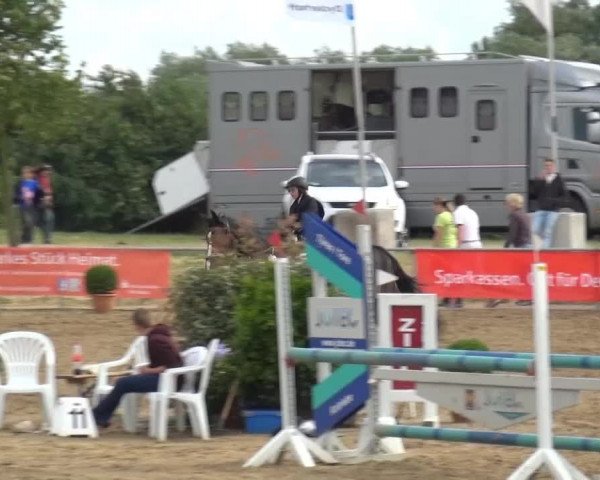 Sommerturnier RFV Heinsberg 2015