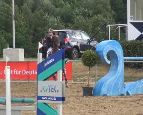 Sommerturnier RFV Heinsberg 2015
