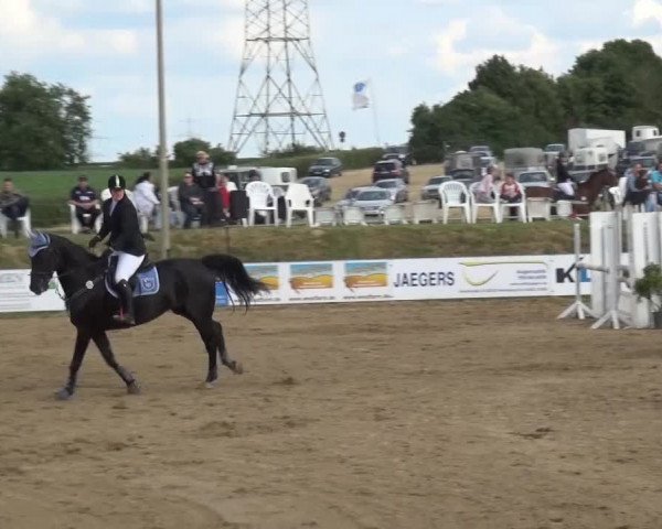 Sommerturnier RFV Heinsberg 2015