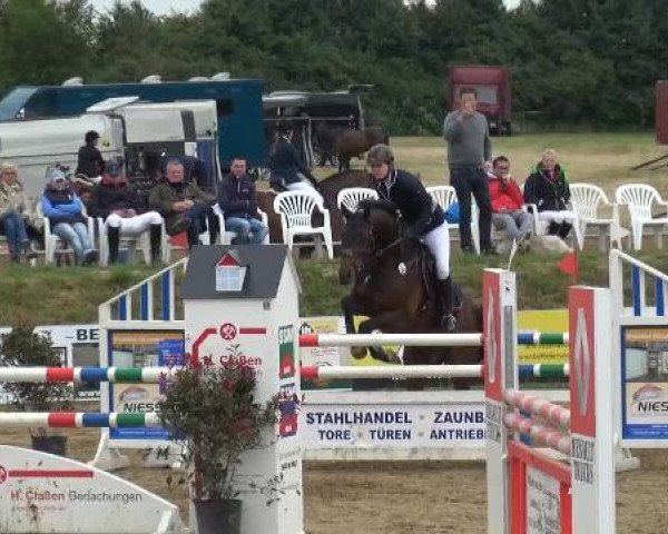 Sommerturnier RFV Heinsberg 2015