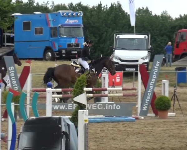 Sommerturnier RFV Heinsberg 2015