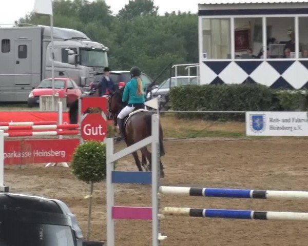Sommerturnier RFV Heinsberg 2015