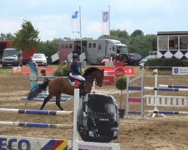 Sommerturnier RFV Heinsberg 2015