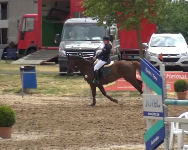 Sommerturnier RFV Heinsberg 2015