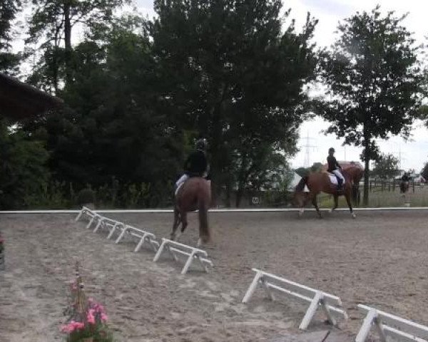 Sommerturnier Fröndenberg 2015