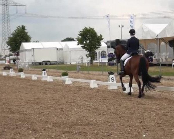 Sommerturnier RFV Heinsberg 2015