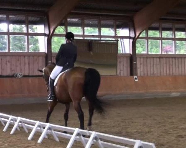 Sommerturnier Fröndenberg 2015