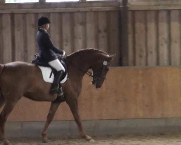 Sommerturnier Fröndenberg 2015