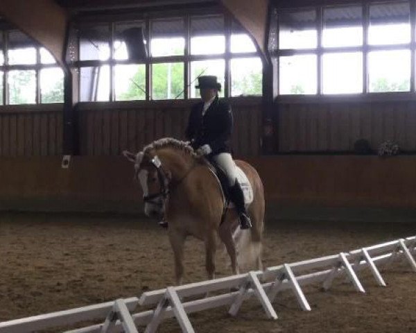 Sommerturnier Fröndenberg 2015